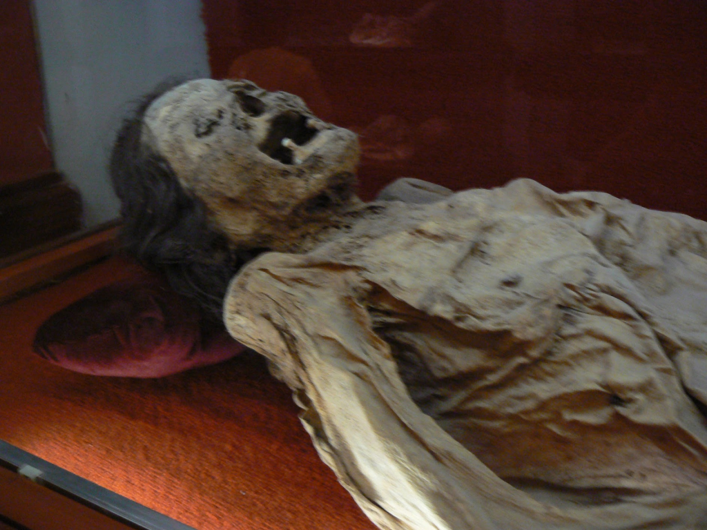 Mummy from Guanajuato